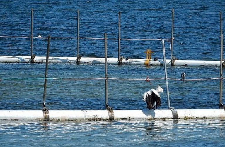 Molapong Aquaculture Project
