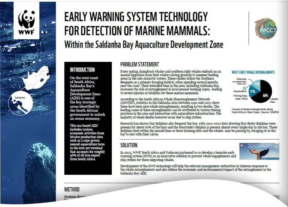 State of the Bay ... sneak peek of the WWF presentation