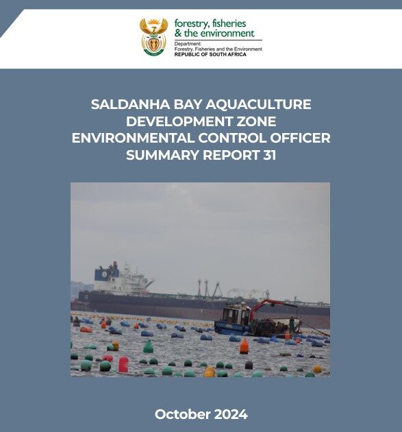 AMC Eco Summary Report - October 2024