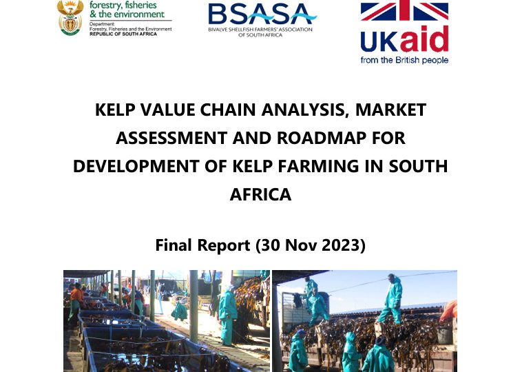 South African Kelp Value Chain Analysis Market Asssessment and Roadmap Report 2023