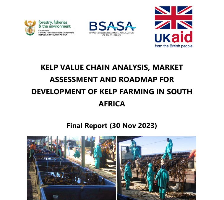 South African Kelp Value Chain Analysis Market Asssessment and Roadmap Report 2023